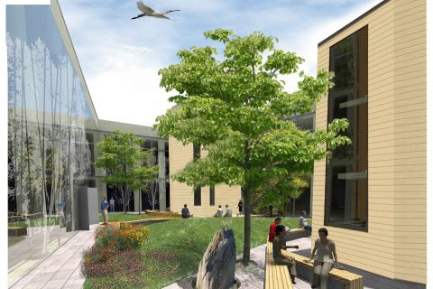 Sacco Hospital – Ward CF01 – CF16